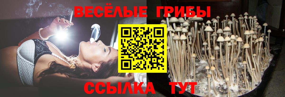 Кулебаки  Галлюциногенные грибы GOLDEN TEACHER  хочу наркоту  Вход с VPN 