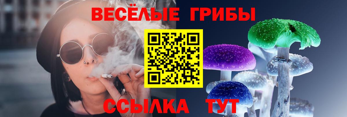 Галлюциногенные грибы мухоморы Кулебаки